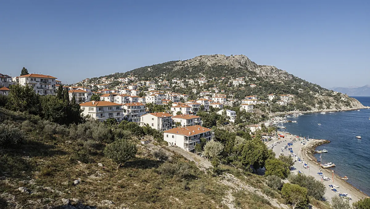 Ödemiş'te Kamyonet Kazası: Sürücü Yaralı