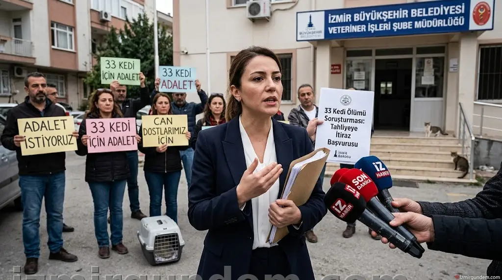 33 Kedi Ölümü Soruşturması: Tahliyeye İtiraz Geldi