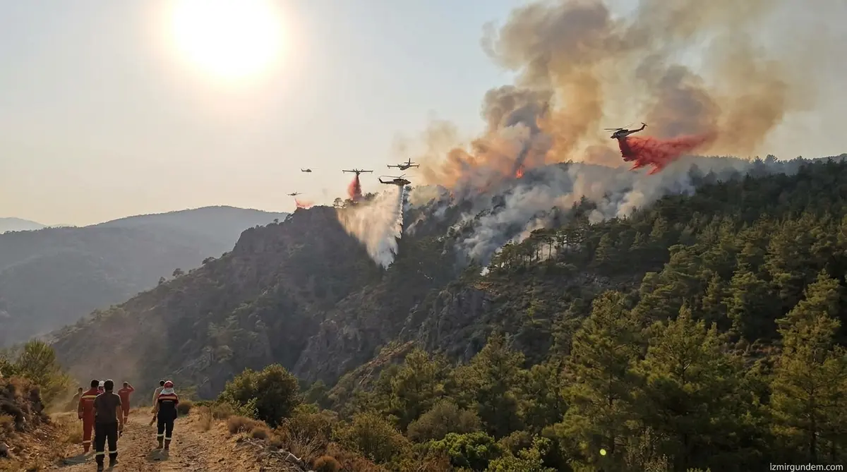 Aydın Kuyucak Orman Yangınında İkinci Gün: 2 Görevli Yaralandı