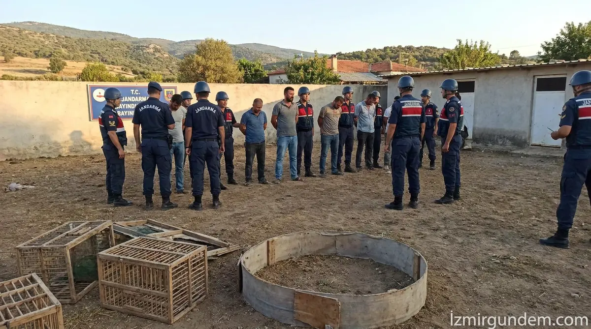 Bayındır'da Kaçak Horoz Dövüşüne Jandarma Baskını