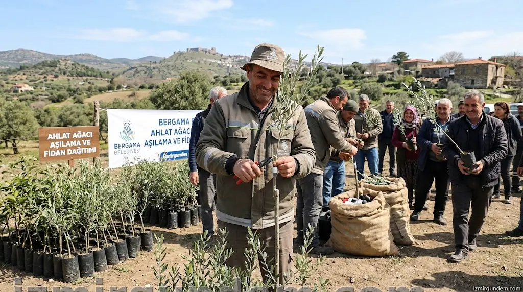 Bergama Belediyesi 130 Ahlat Ağacını Aşıladı Binlerce Fidan Dağıttı