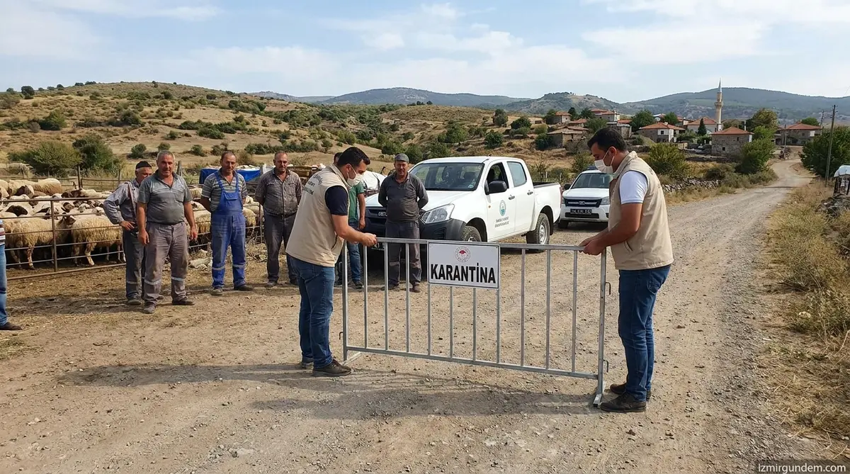 Bergama'da Mavi Dil Alarmı: 15 Mahalle Karantinaya Alındı