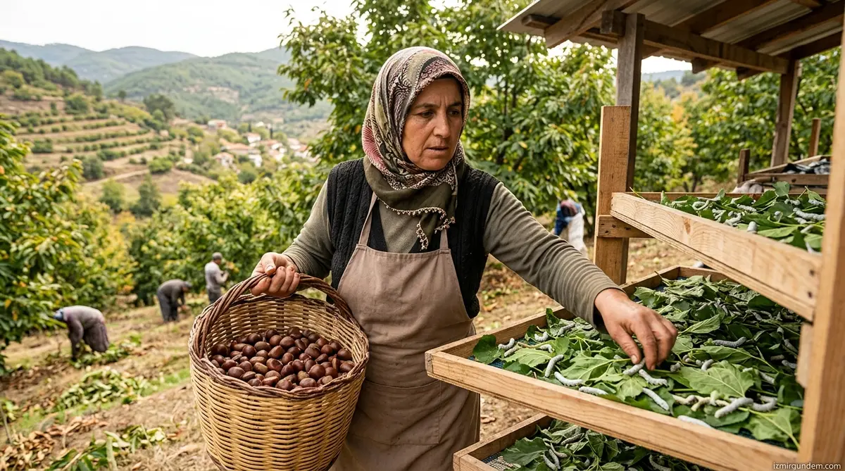 Beydağlı Üreticiye Çifte Can Suyu: İzmir Büyükşehir'den Kestane ve İpek...