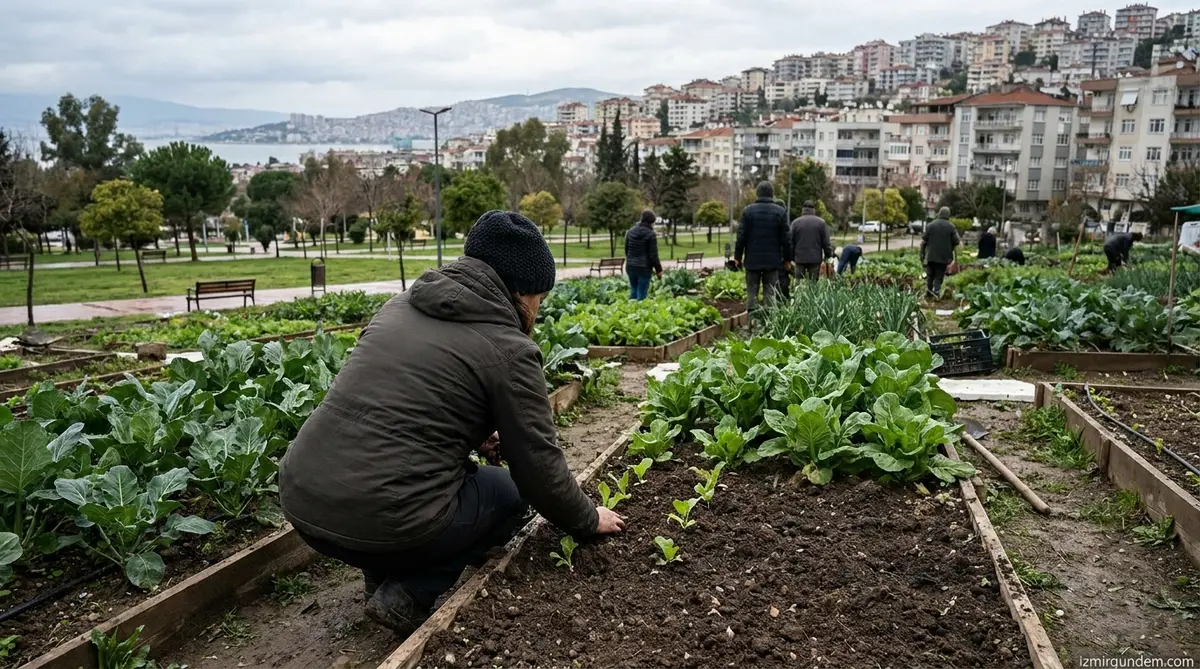 Buca'da Toprakla İyileşen Sevim Hanyalı Hasadını Cemil Tugay'a