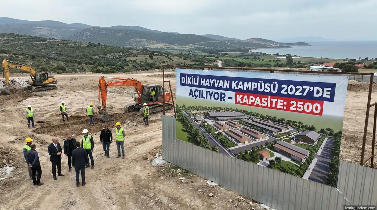 Dikili Hayvan Kampüsü 2027'de Açılıyor: 2 Bin 500 Kapasite