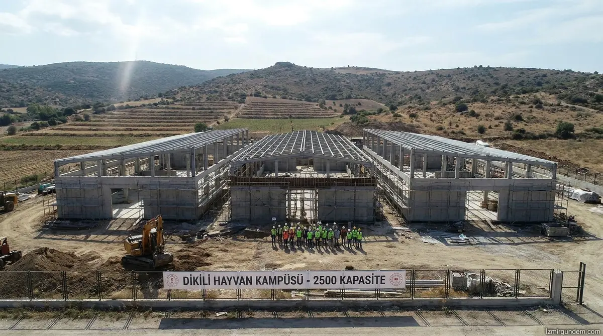 Dikili'de 2 Bin 500 Hayvan Kapasiteli Kampüs Yükseliyor
