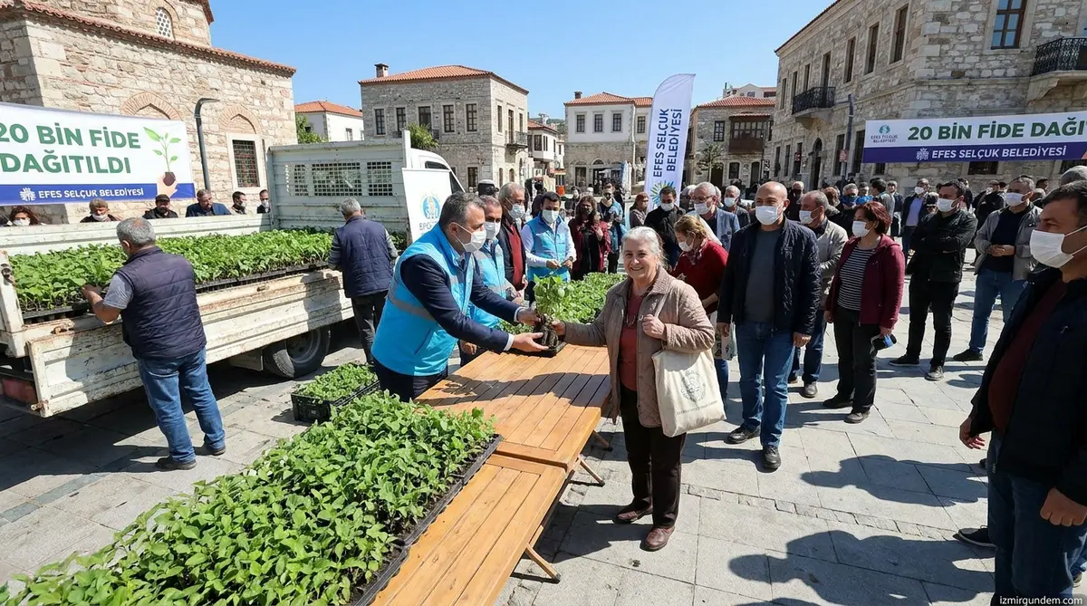 Efes Selçuk'ta 20 Bin Fide Dağıtıldı: Üretim...