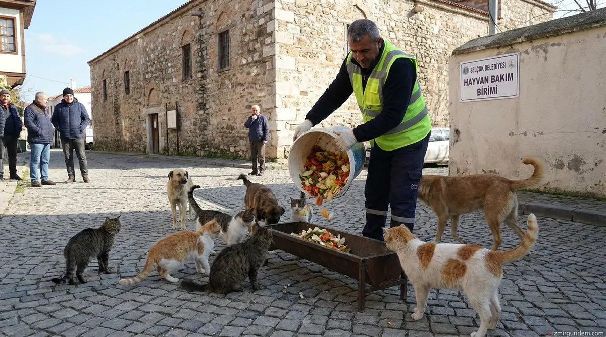 Efes Selçuk’ta Atık Yemekler Can Dostlarına Mama Oluyor