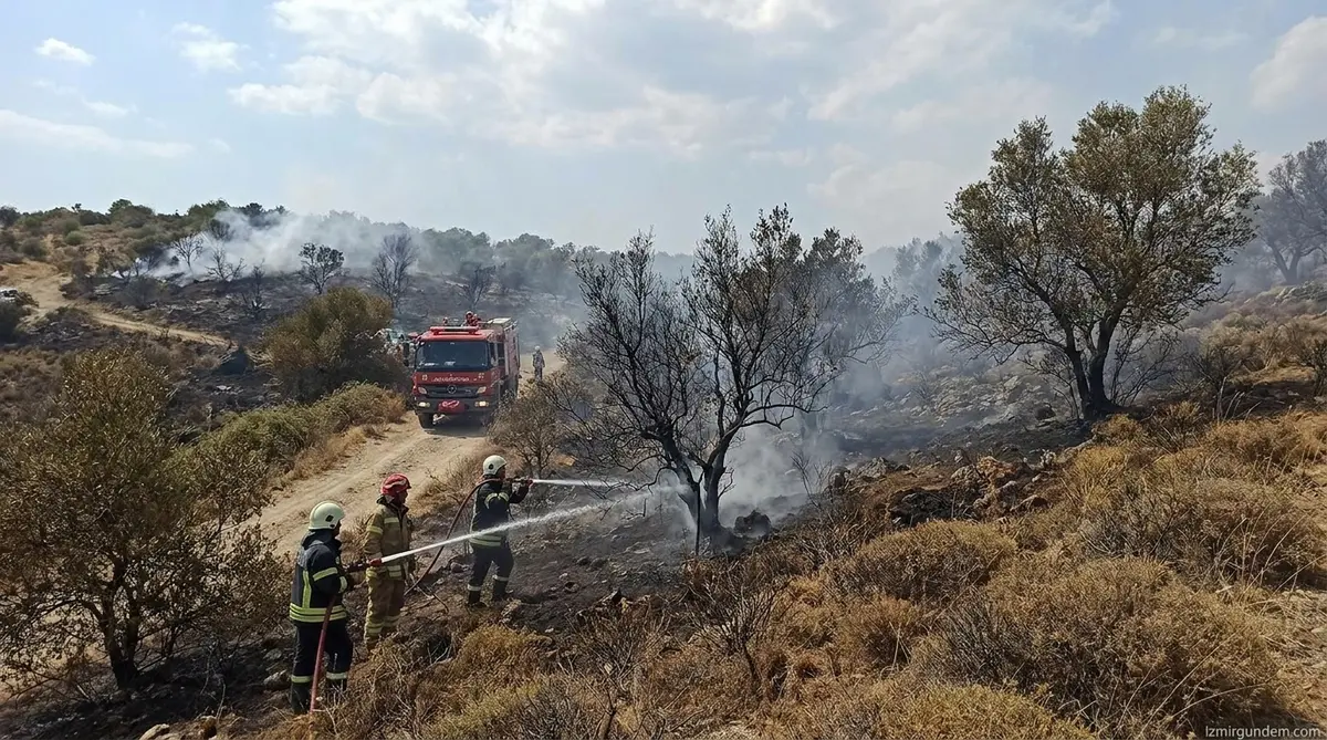 Foça'da Zeytinliklere Sıçrayan Yangın Kontrol Altına Alındı