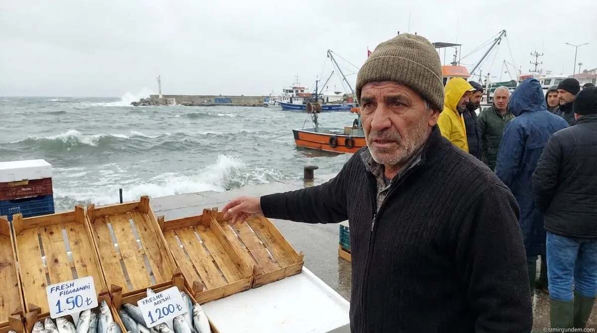 Lodos Balık Fiyatlarını Uçurdu