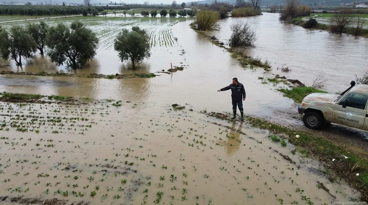 Ödemiş'te Menderes Taştı: Tarlalar Sular Altında