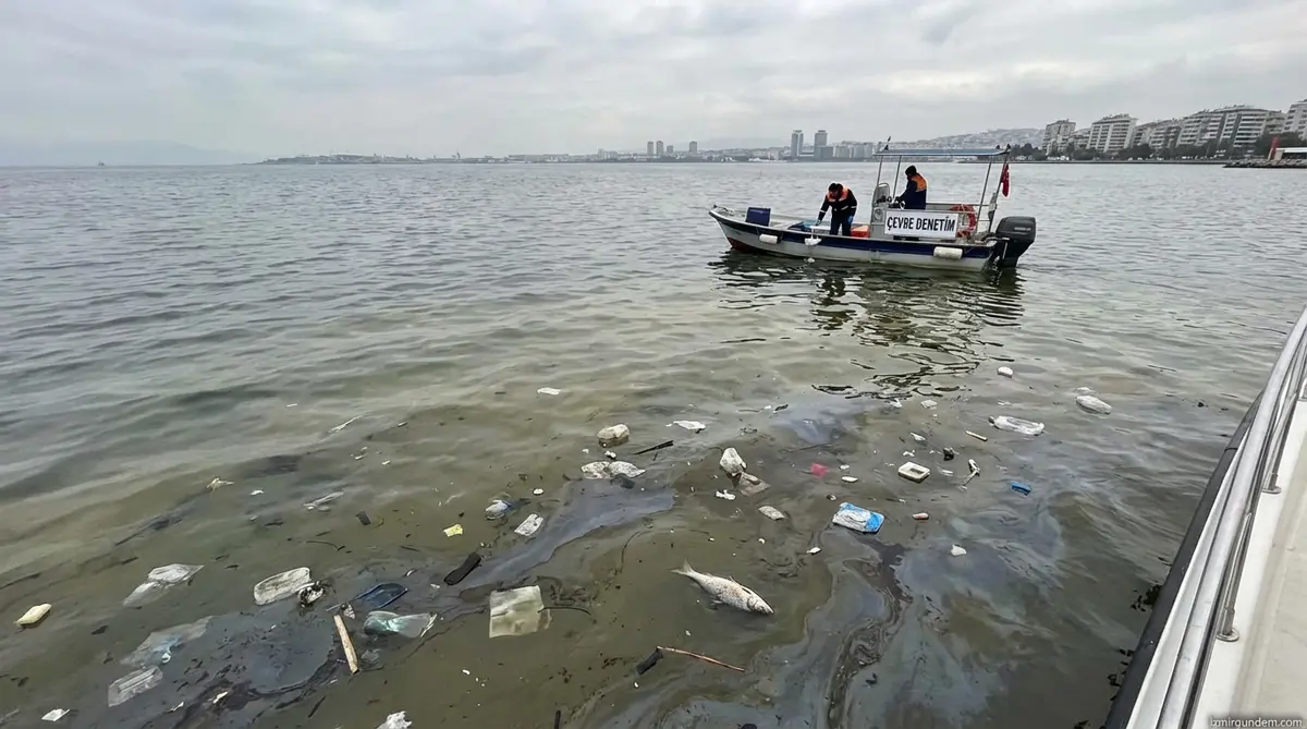 İzmir Körfezi'nde Kirlilik Alarmı!