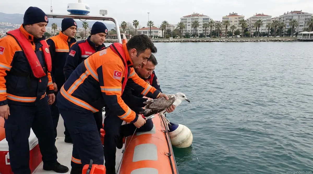 İnciraltı'nda Misinaya Takılan Martıyı İtfaiye Kurtardı