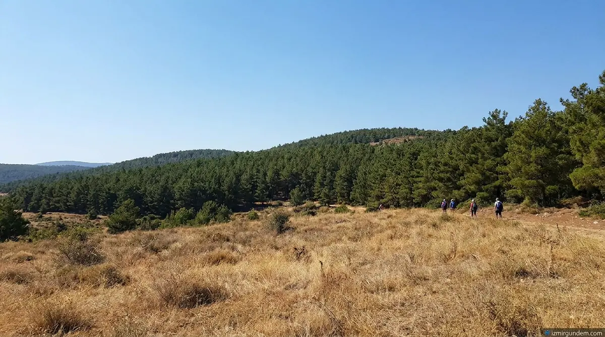 İzmir İçin Kritik Yangın Uyarısı: Temizlenmeyen Otlar Büyük Risk