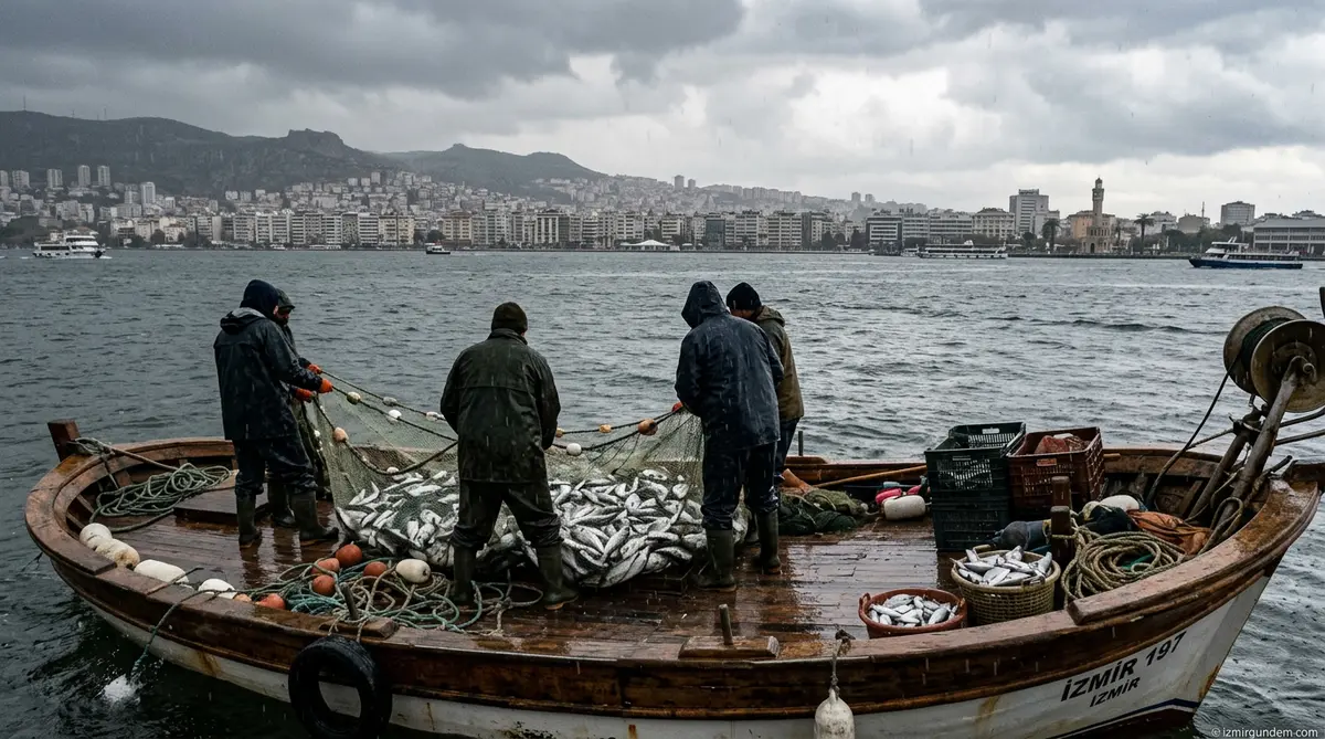 İzmir Körfezi'nde Balık Bolluğu: 2026 Rekor Yılı Olacak