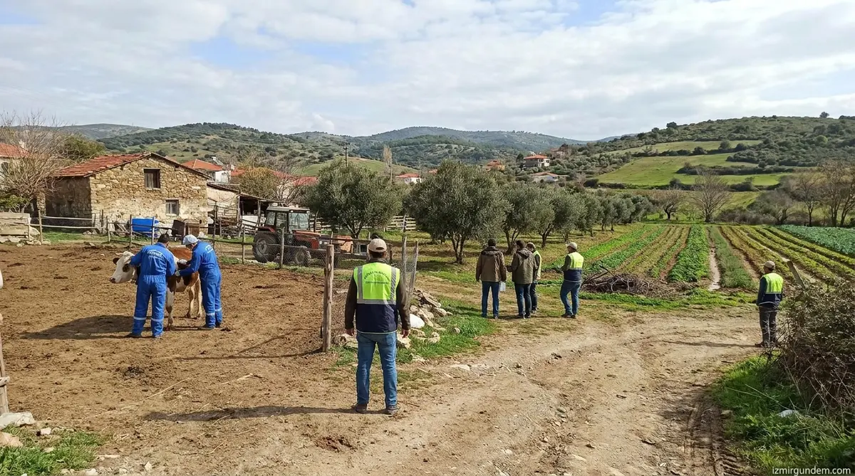 İzmir Tarımında Saha Mesaisi: Uzman Ekiplerin Başarı Hikayesi