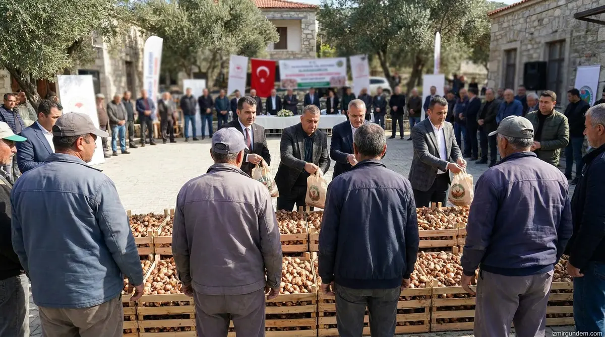 Karaburun Nergisi İçin Dev Destek: 300 Bin Soğan Dağıtıldı