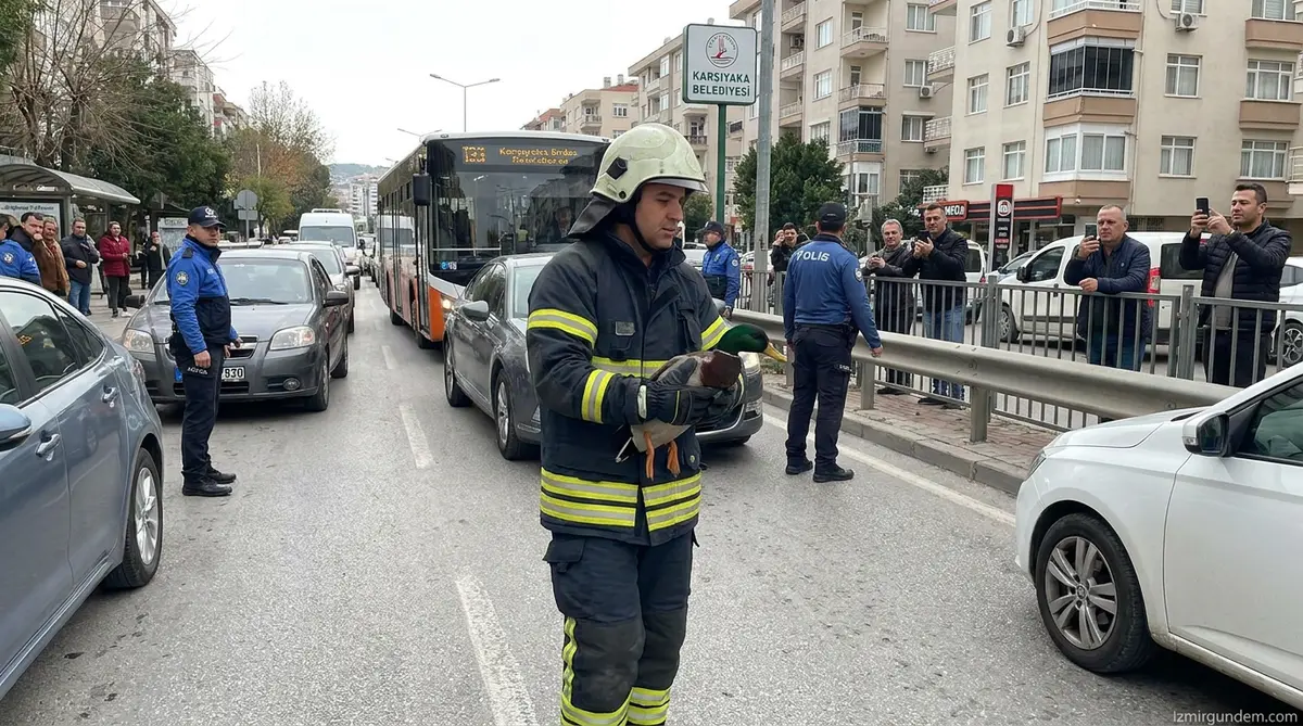 Karşıyaka'da Trafiği Durduran Yeşilbaşlı Ördek Kurtarma Operasyonu