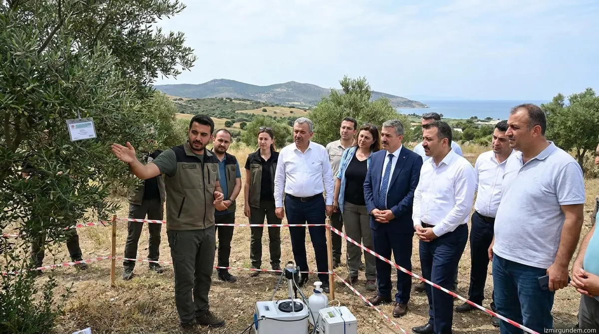 Urla'da 6 Milyonda Bir Görülen Olay: Erkek Sanılan...
