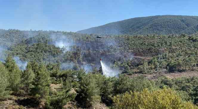 İzmir’de araçtaki alevlerin ormana sıçraması ile çıkan yangına müdahale sürüyor
