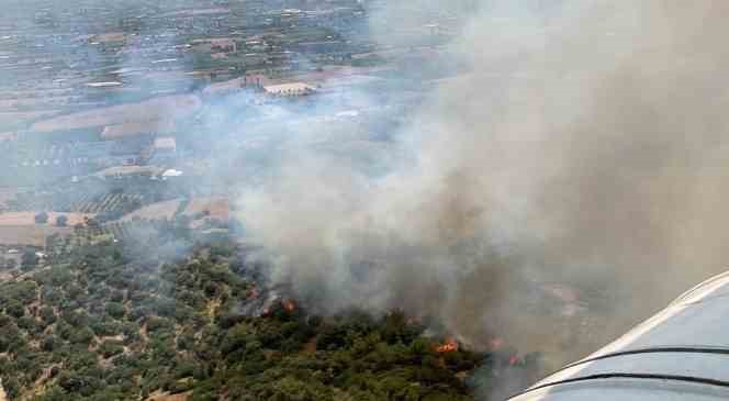 İzmir’de orman yangını başladı, havadan müdahale ediliyor

