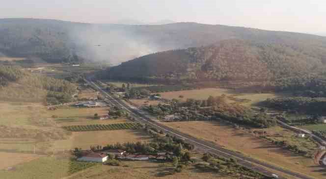 İzmir’deki orman yangınına havadan ve karadan müdahale
