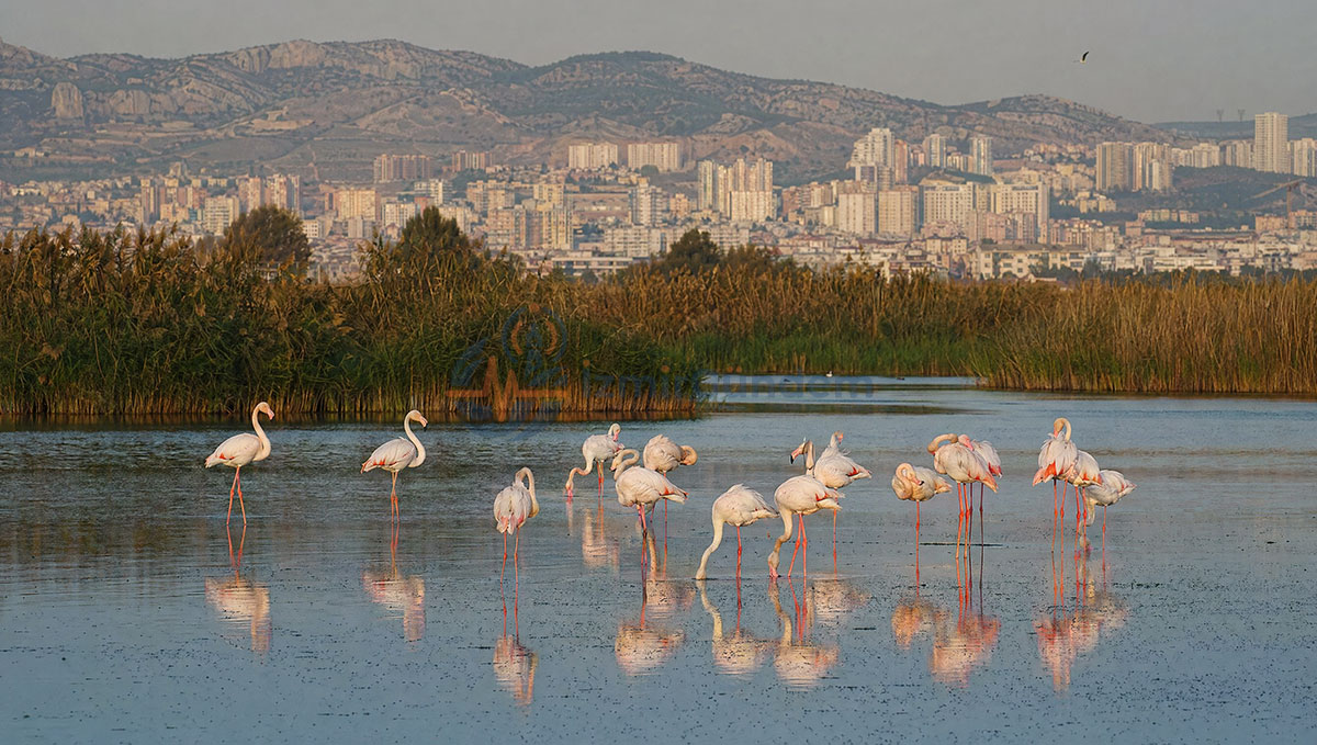 Çiğli ilçesi, İzmir - genel görünüm