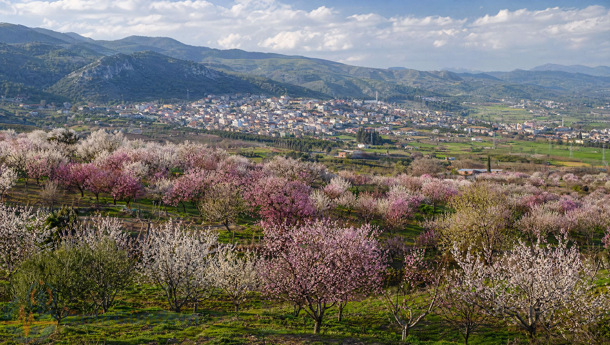 Kemalpaşa ilçesi, İzmir - genel görünüm